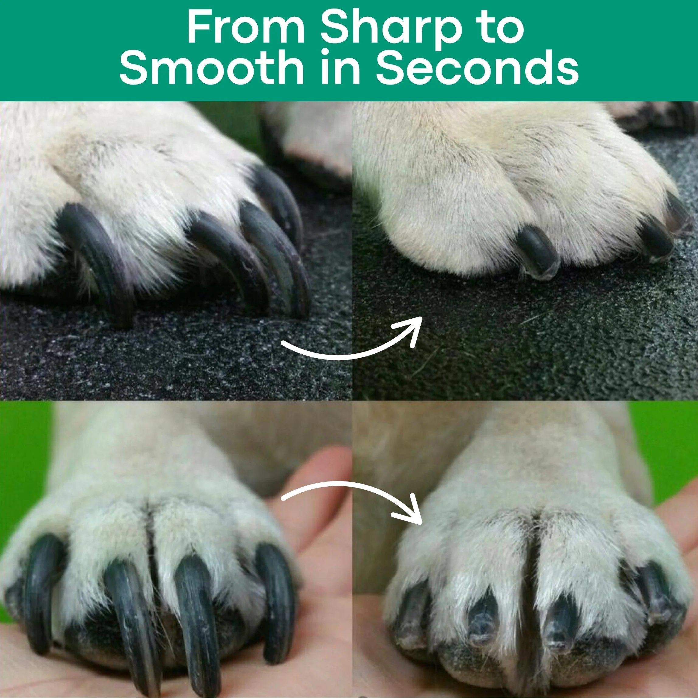🔥Last Day Promotion 49% OFF🔥 - The PetSafe Nail Clipper