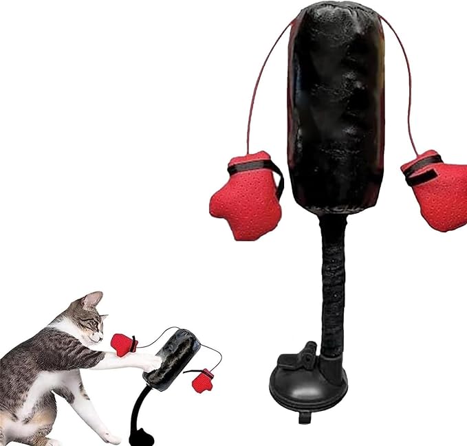 Cat Boxing Toy, Interactive Kitten Boxing Toy with Suction Cup Base