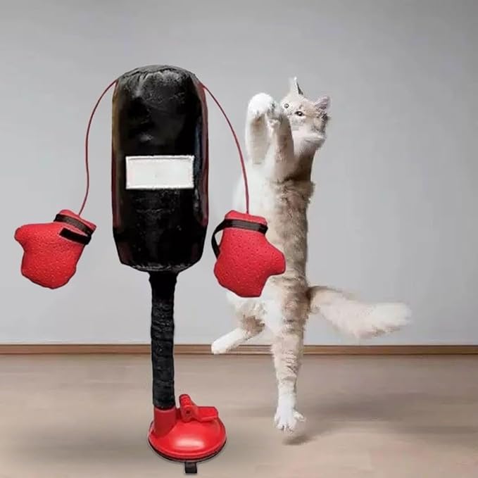 Cat Boxing Toy, Interactive Kitten Boxing Toy with Suction Cup Base