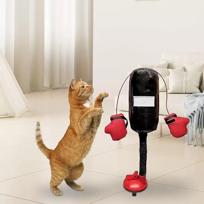 Cat Boxing Toy, Interactive Kitten Boxing Toy with Suction Cup Base