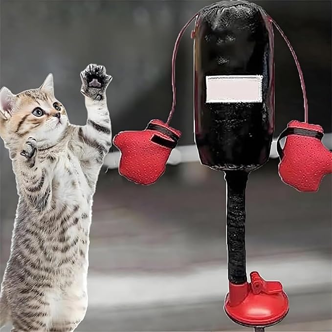 Cat Boxing Toy, Interactive Kitten Boxing Toy with Suction Cup Base