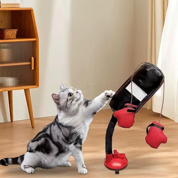 Cat Boxing Toy, Interactive Kitten Boxing Toy with Suction Cup Base