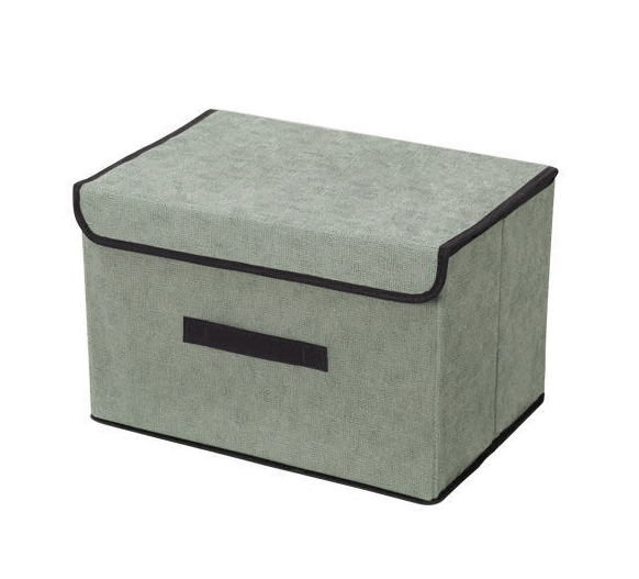 Non-Woven Organizer