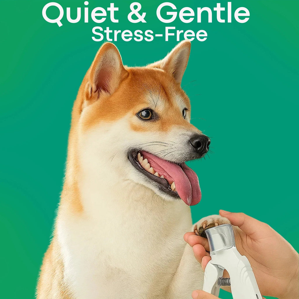 🔥Last Day Promotion 49% OFF🔥 - The PetSafe Nail Clipper