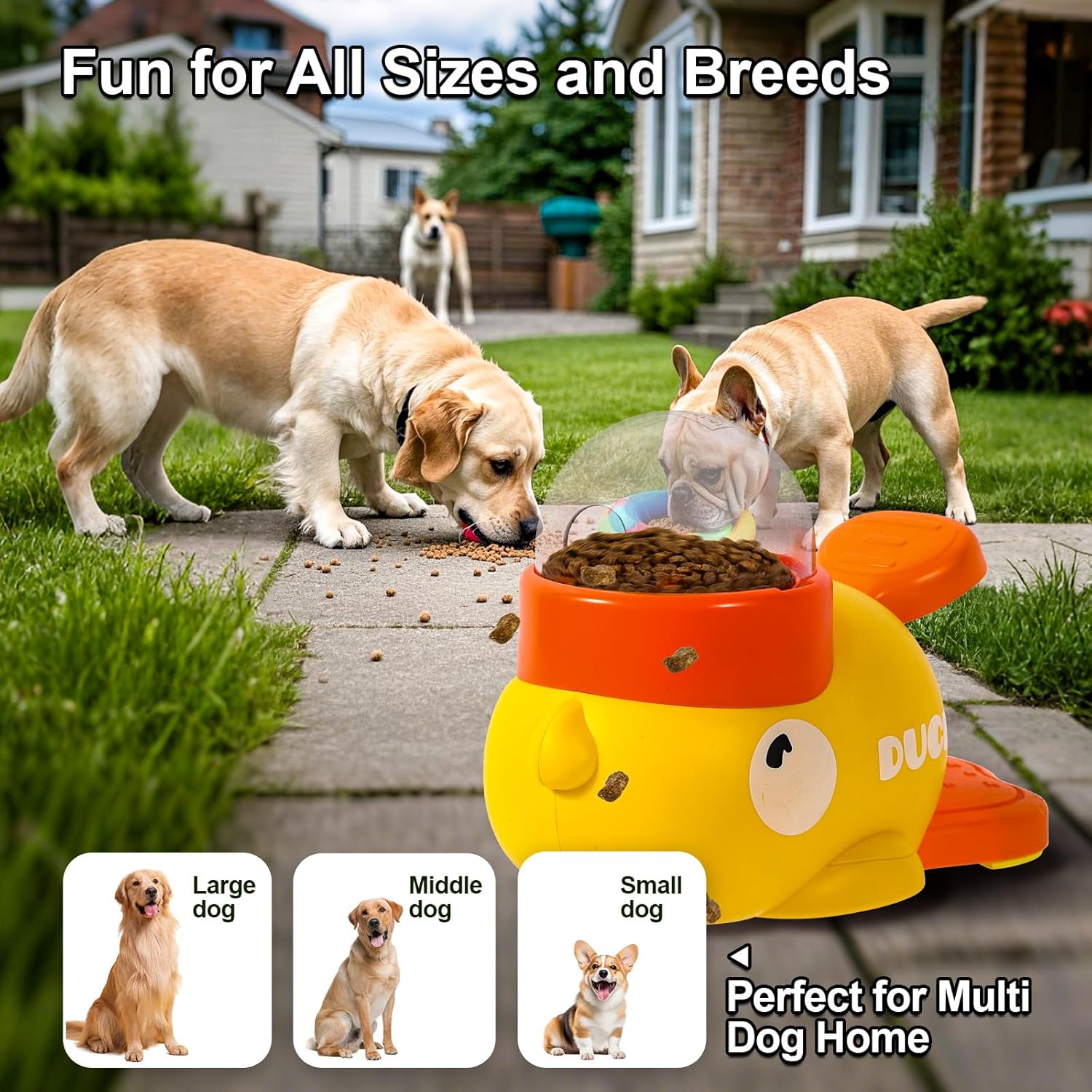 🐶 Pet Feeding Toys 🐱