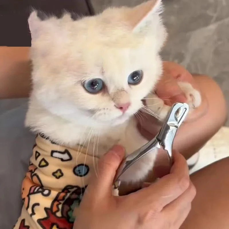 Cat grooming Wrap